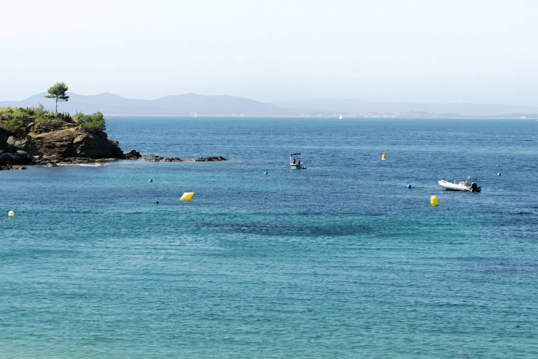 Stúdió Rosesben