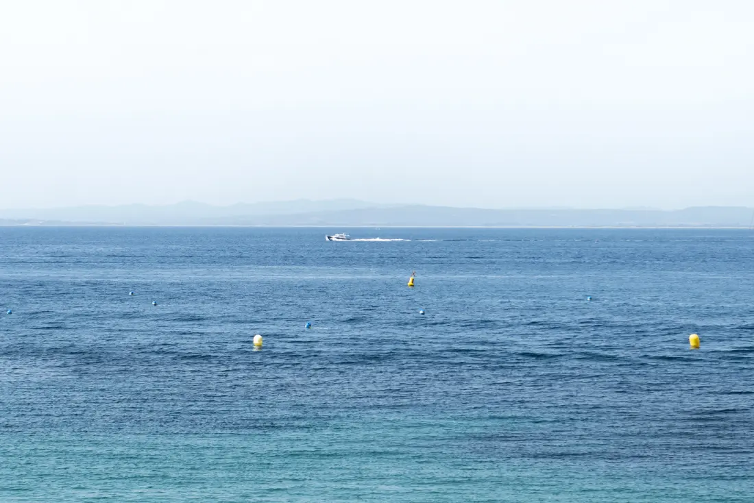Stúdió Rosesben