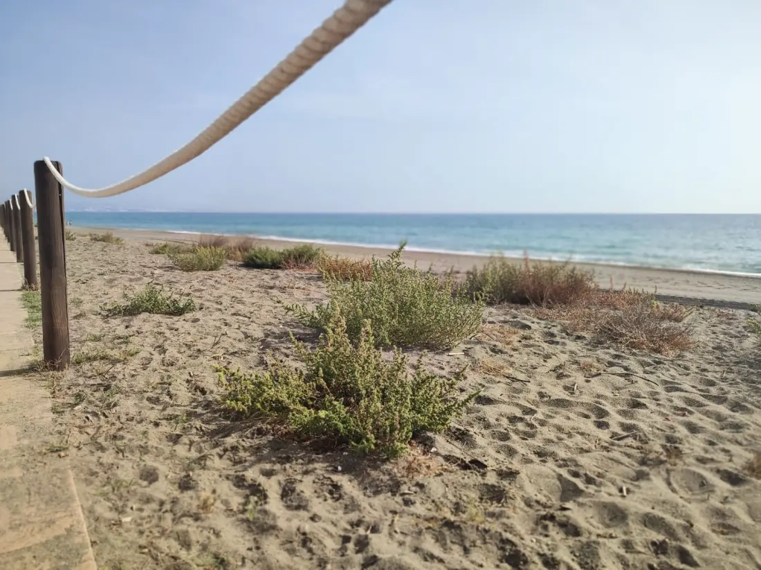 Apartmanok San Luis de Sabanillas