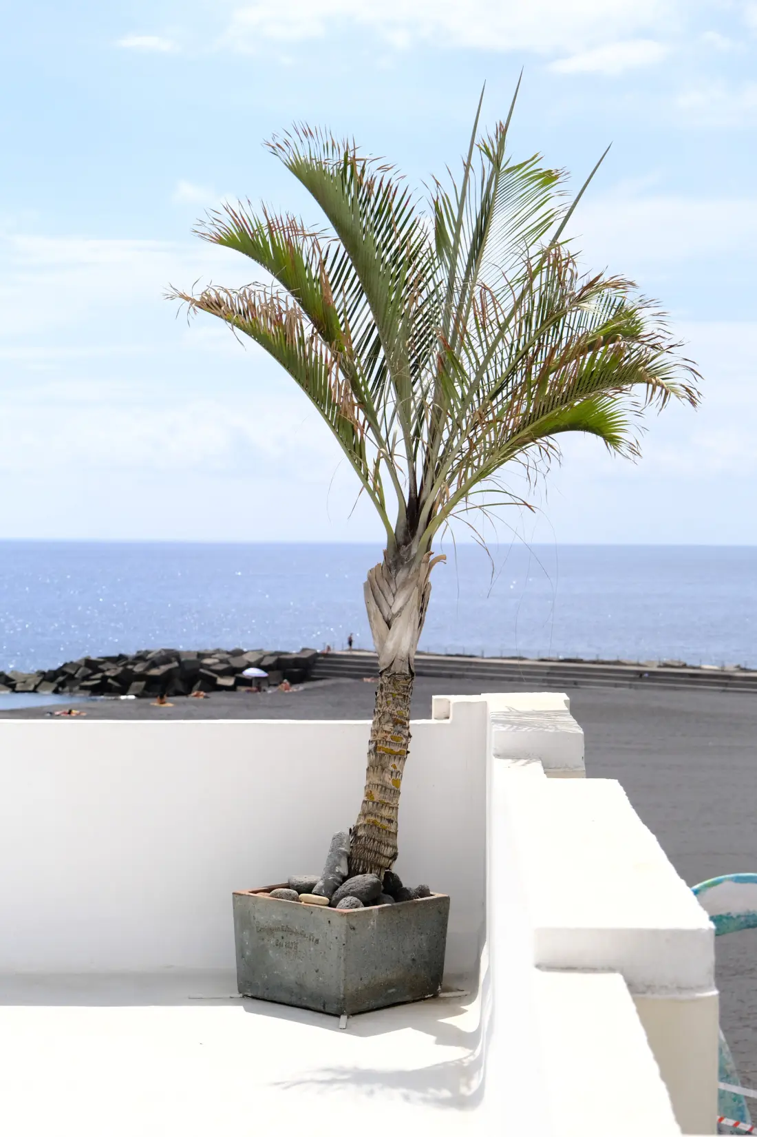 Ház Santa Cruz de la Palmában