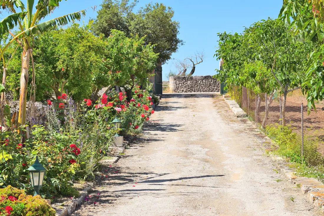 Ház Santa Margalida
