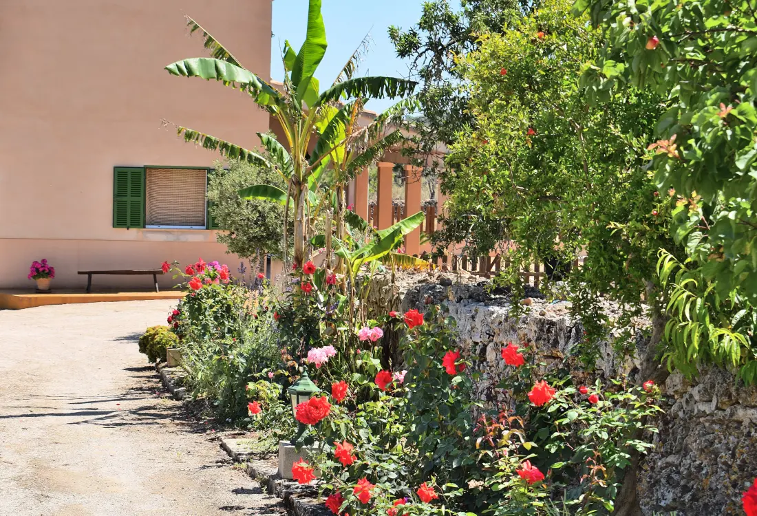 Ház Santa Margalida