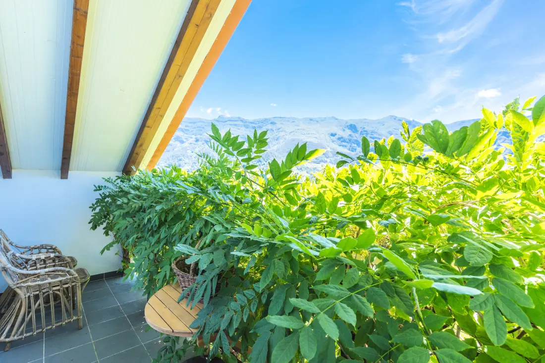 House in Sao Vicente (Madere)