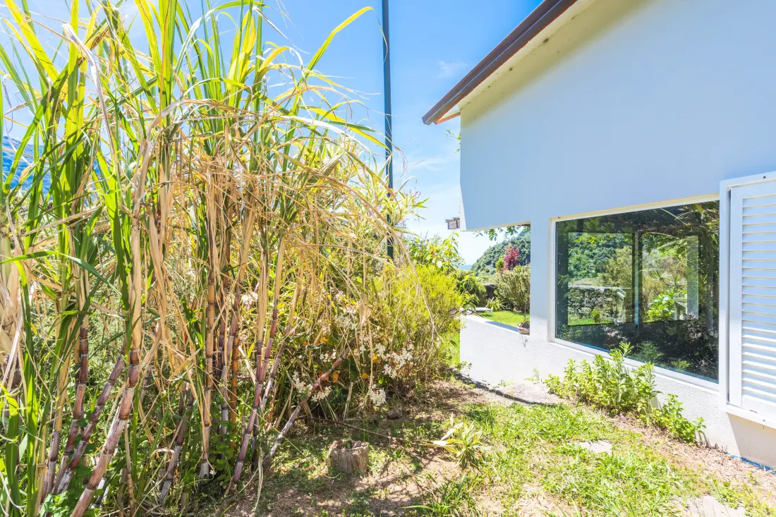 House in Sao Vicente (Madere)
