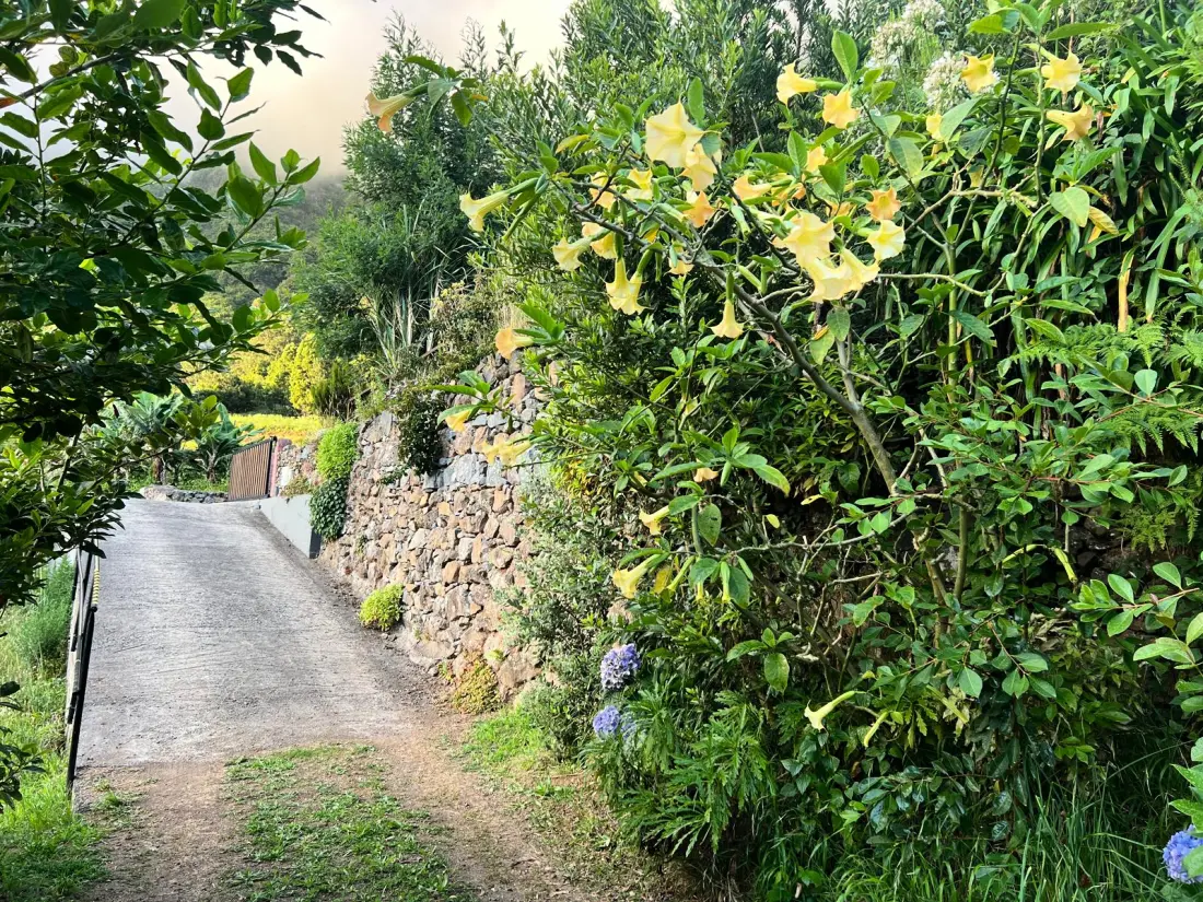 House in Sao Vicente (Madere)