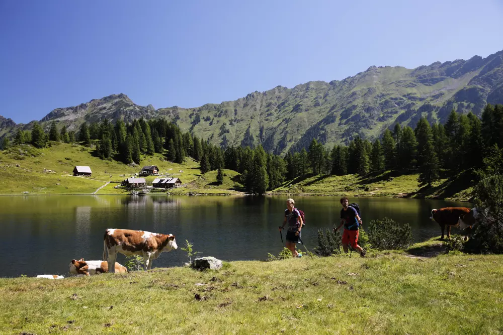 Apartamenty w Schladming