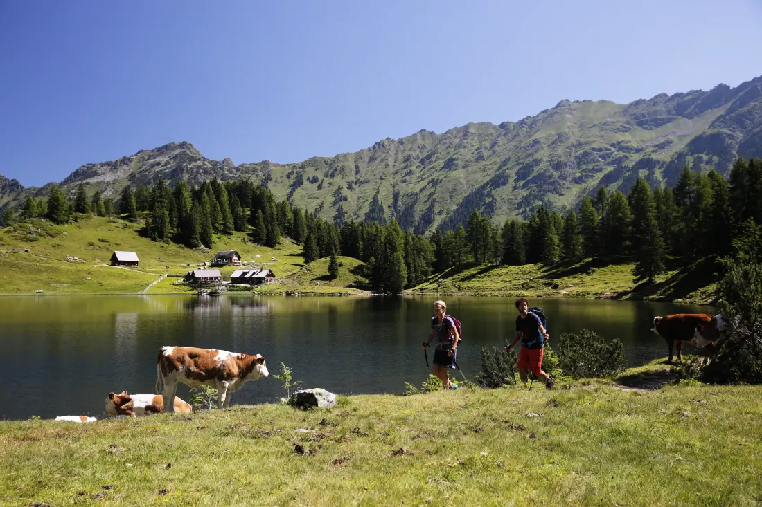 Appartements à Schladming