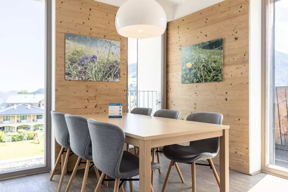 Apartamenty w Schladming