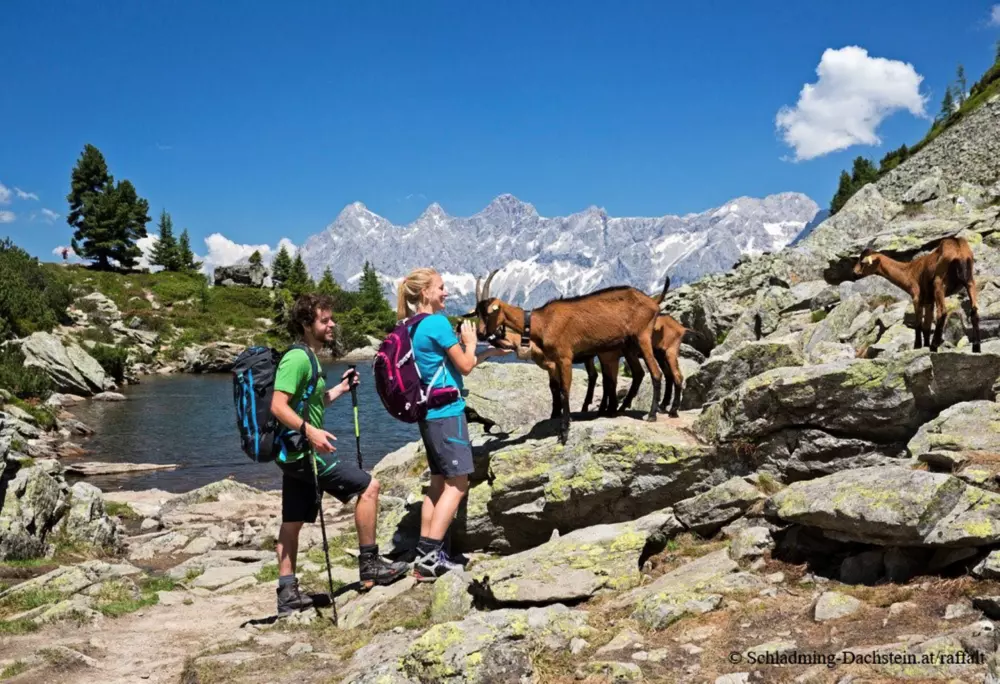 Apartamenty w Schladming