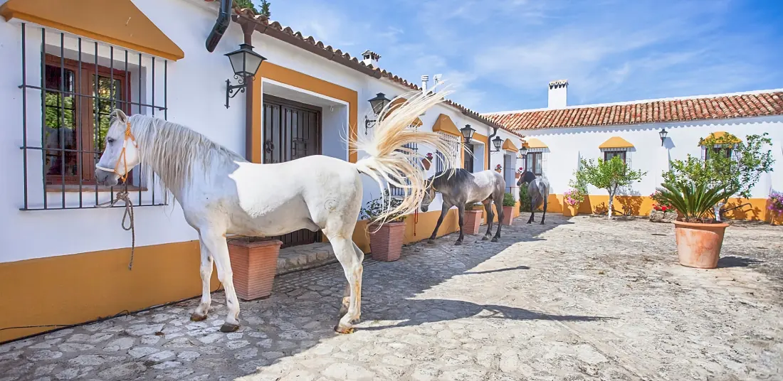 Huis in Setenil de las bodegas