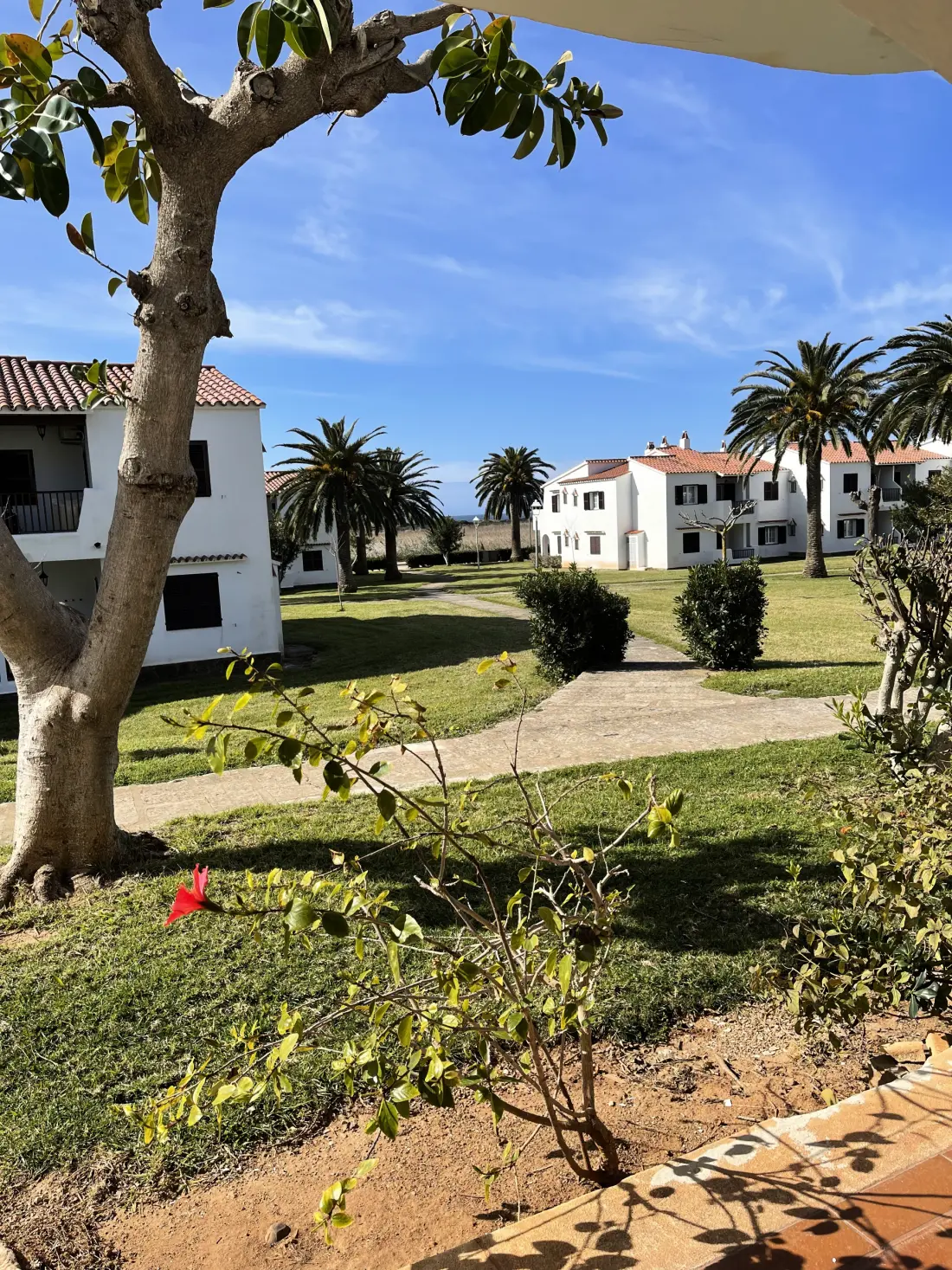 Apartmanok Son Bou