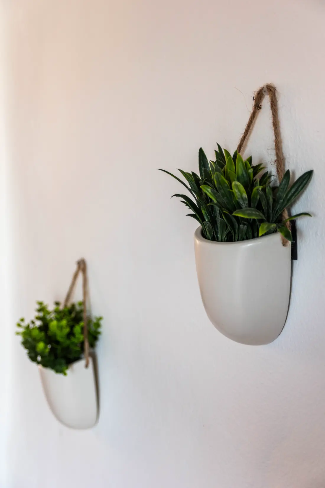 Apartmanok Son Parc