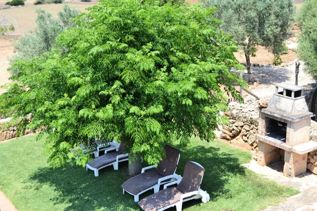 Ház Son Serra de Marina