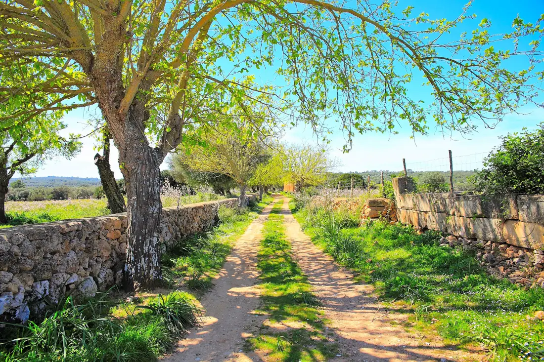 Ház Son Serra de Marina
