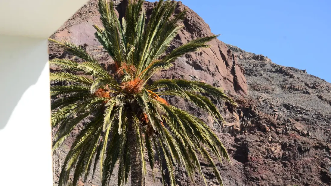 Appartements à Valle Gran Rey - Ile de La Gomera