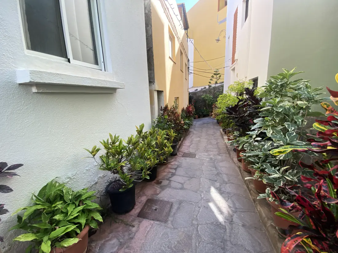 Lejligheder i Valle Gran Billeder af Rey - I nærheden af La Gomera