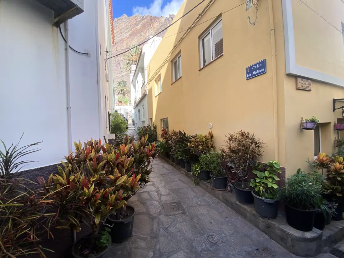 Lejligheder i Valle Gran Billeder af Rey - I nærheden af La Gomera