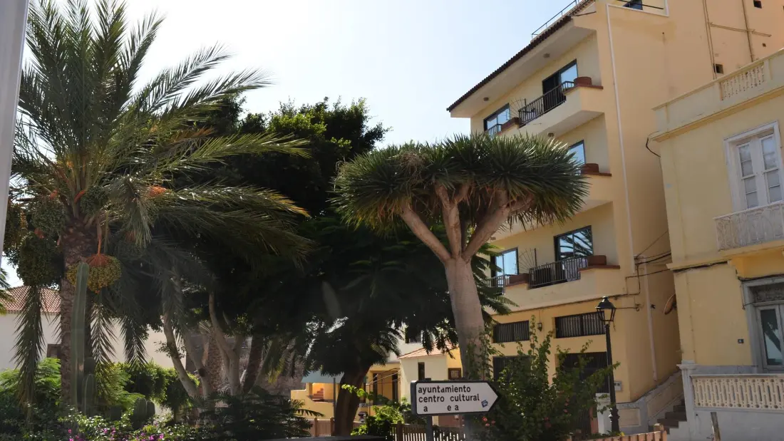 Appartementen in Valle Gran Rey. Ile de La Gomera
