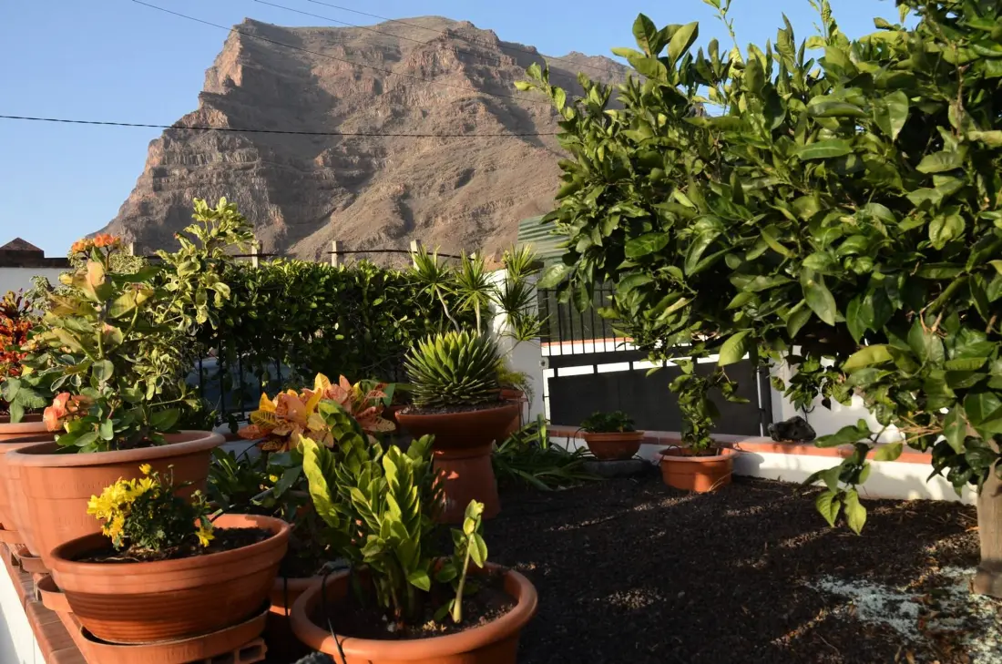 Appartementen in Valle Gran Rey. Ile de La Gomera