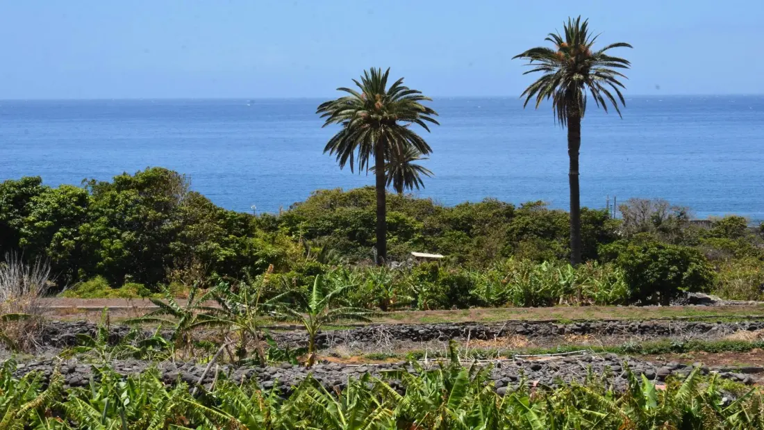 Appartementen in Valle Gran Rey. Ile de La Gomera