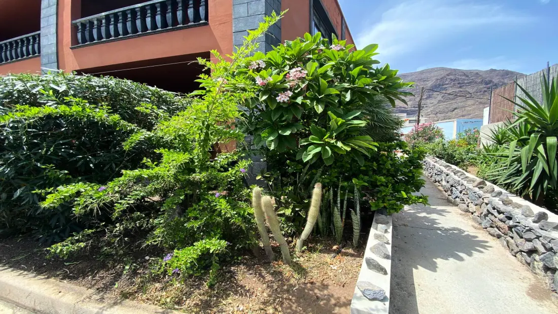 Lejligheder i Valle Gran Billeder af Rey - I nærheden af La Gomera