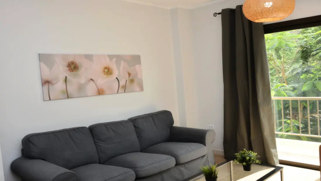 Appartementen in Valle Gran Rey. Ile de La Gomera