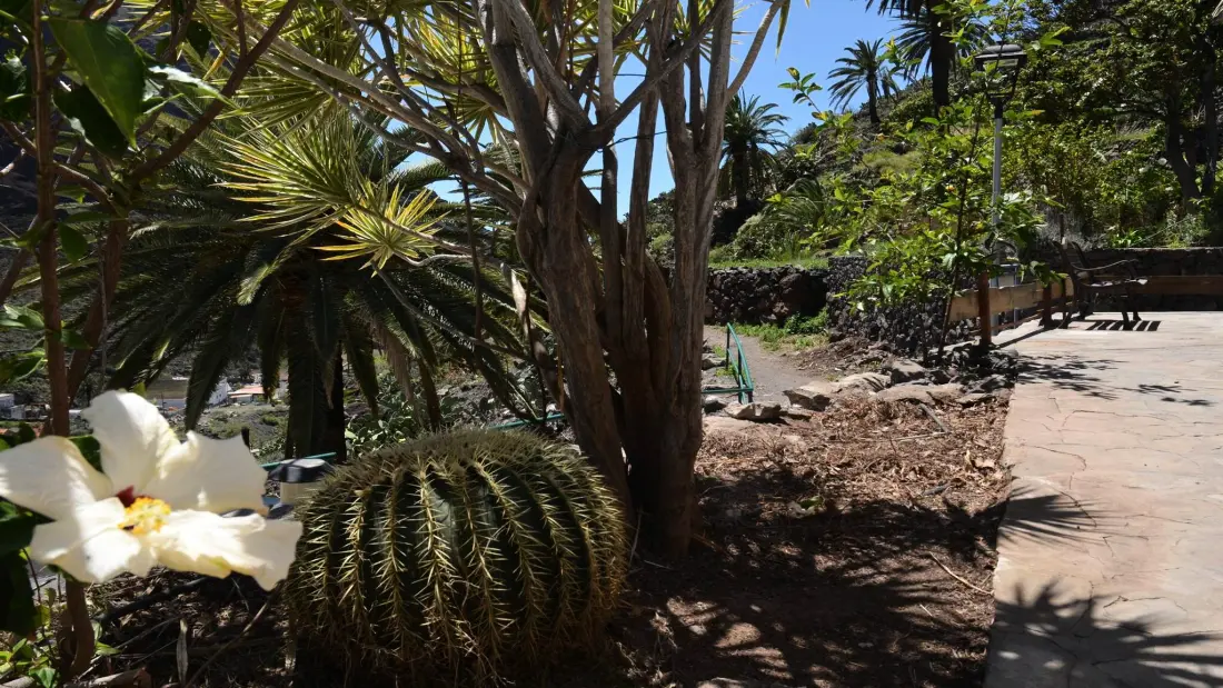 Ház Valle Gran Rey - Ile de La Gomera