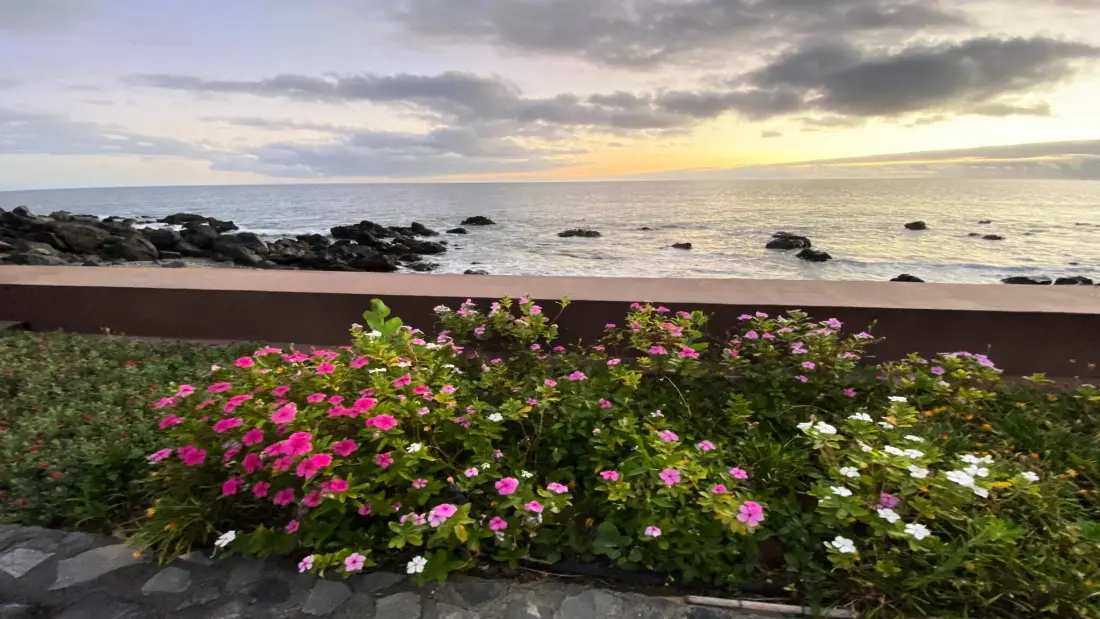 Ház Valle Gran Rey - Ile de La Gomera