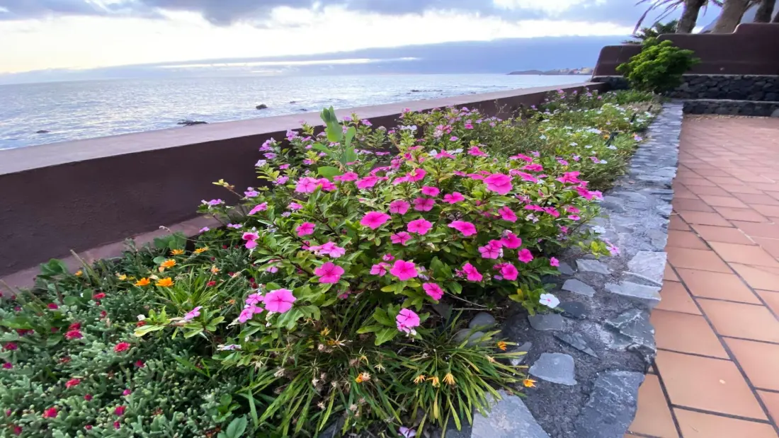 Ház Valle Gran Rey - Ile de La Gomera