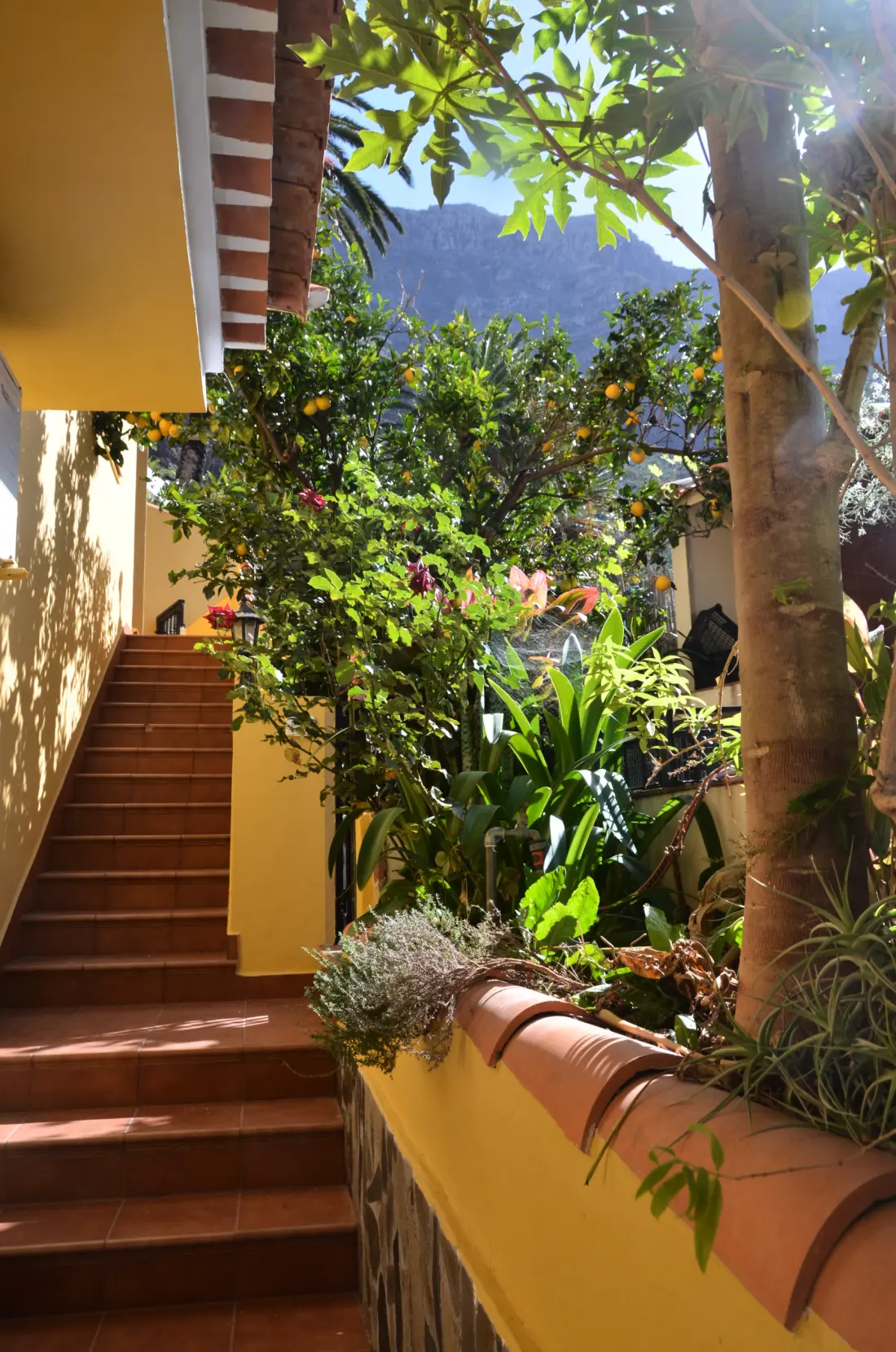 Ház Valle Gran Rey - Ile de La Gomera