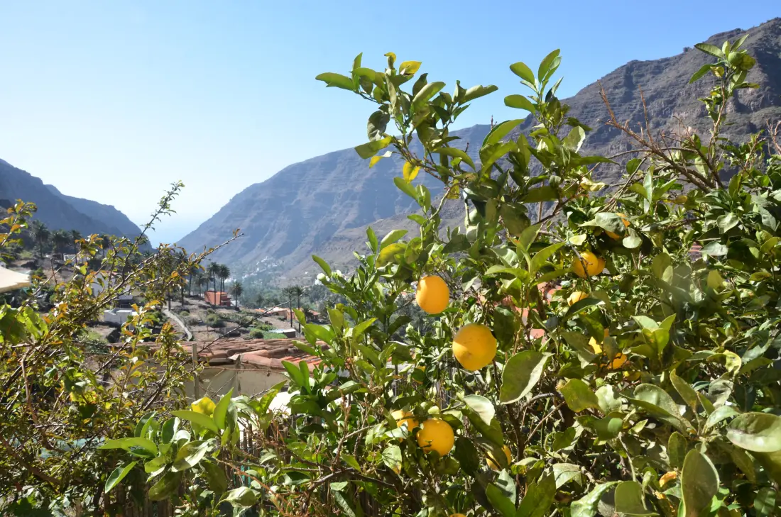 Ház Valle Gran Rey - Ile de La Gomera