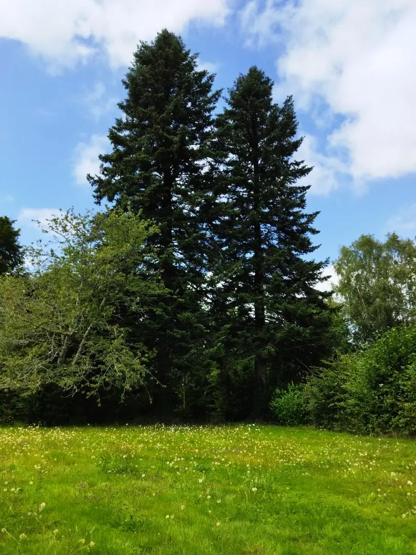 Gîte de France Het is allemaal groen 4 oren