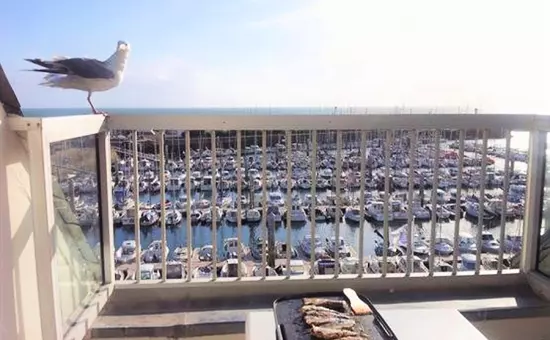 Location de Vacances La Turballe 20