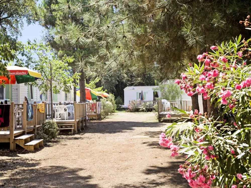 Campingplatz Via Romana 3 Sterne★★★
