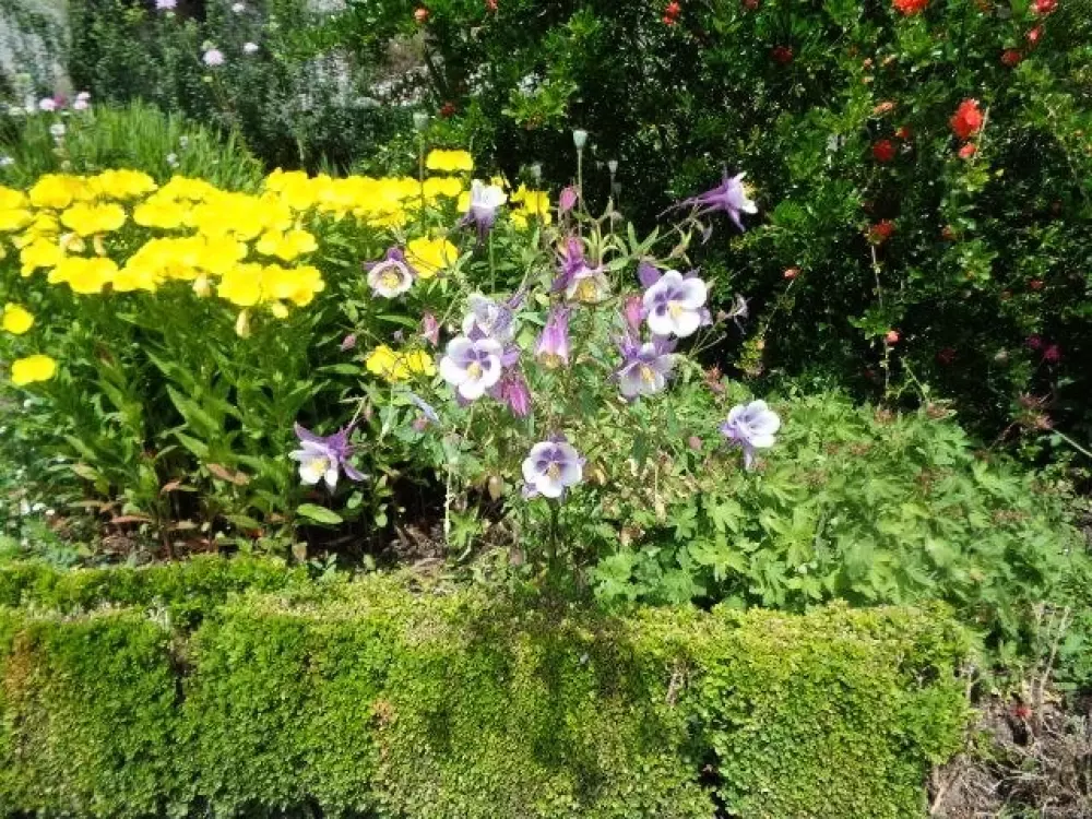 Camping La Ripole 3 étoiles★★★