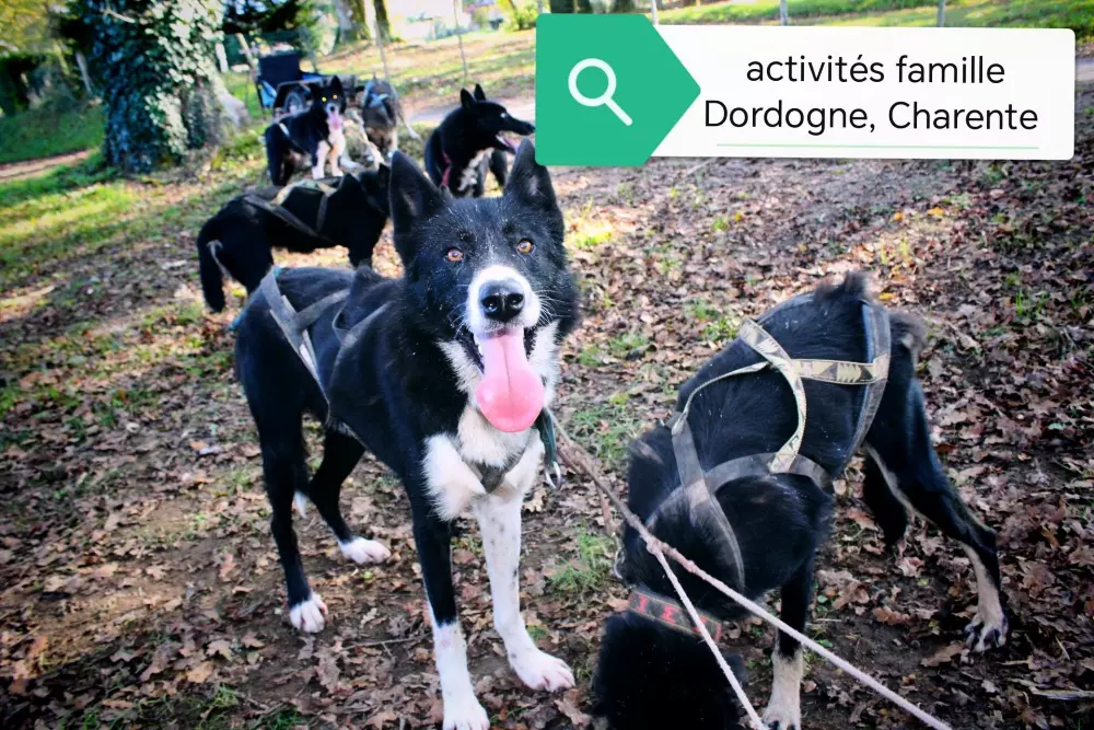 Camping La Ripole 3 étoiles★★★