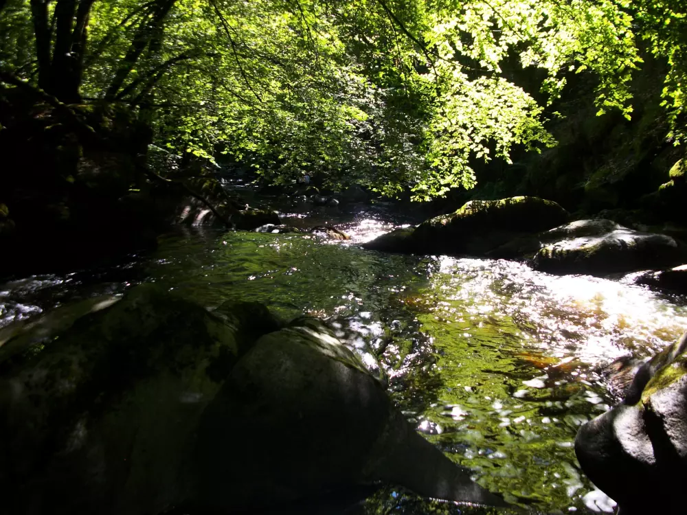 Camping La Ripole 3 étoiles★★★