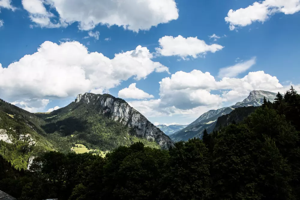 Chalets in Abondance