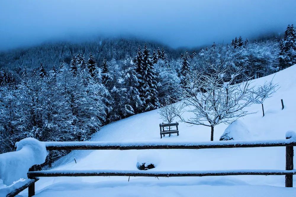 Chalets in Abondance