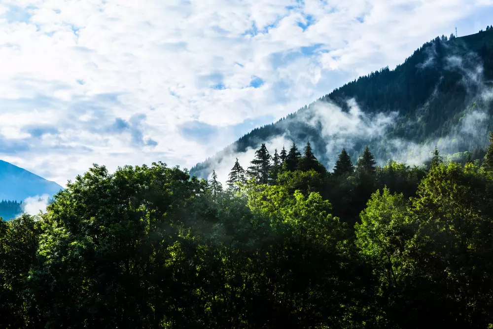 Chalets in Abondance