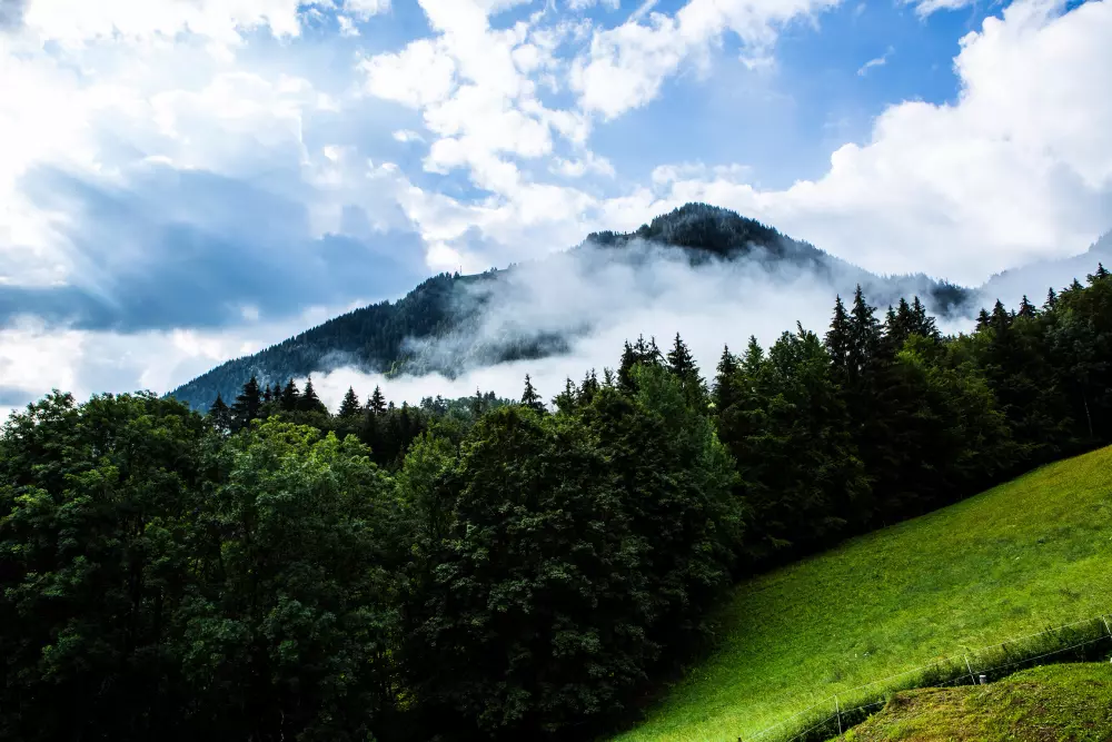 Chalets in Abondance