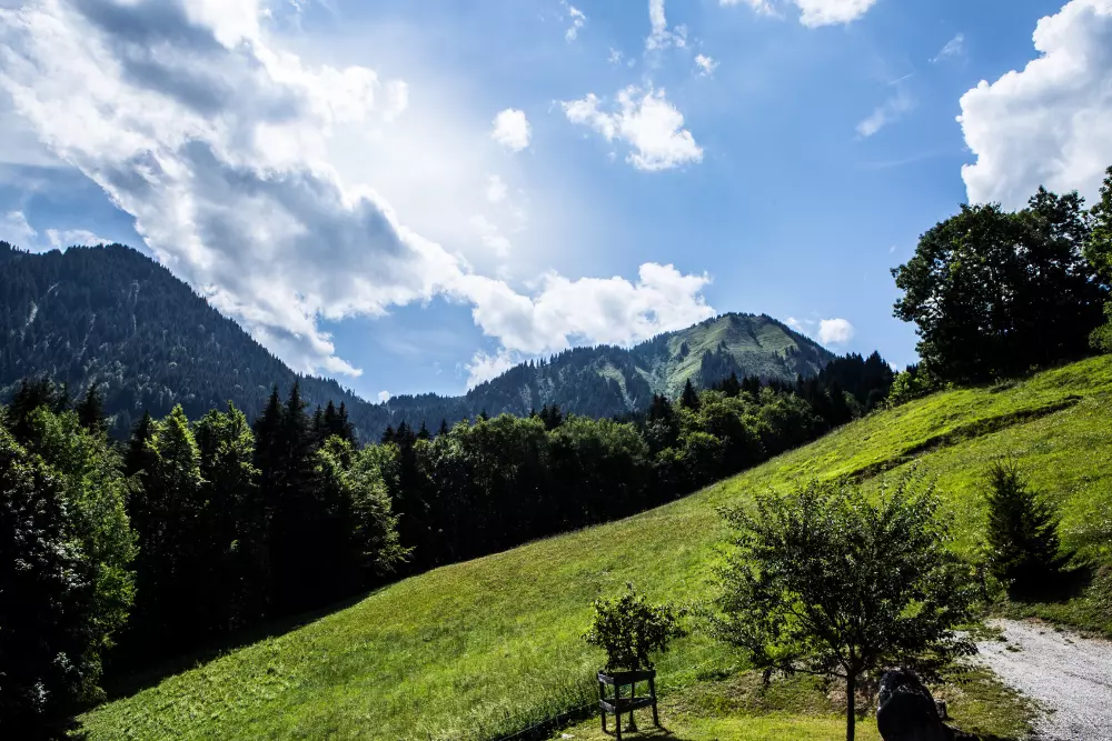 Chalets in Abondance