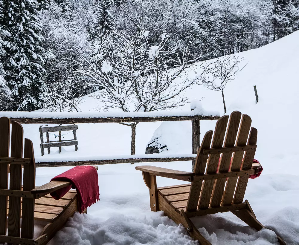 Chalets in Abondance
