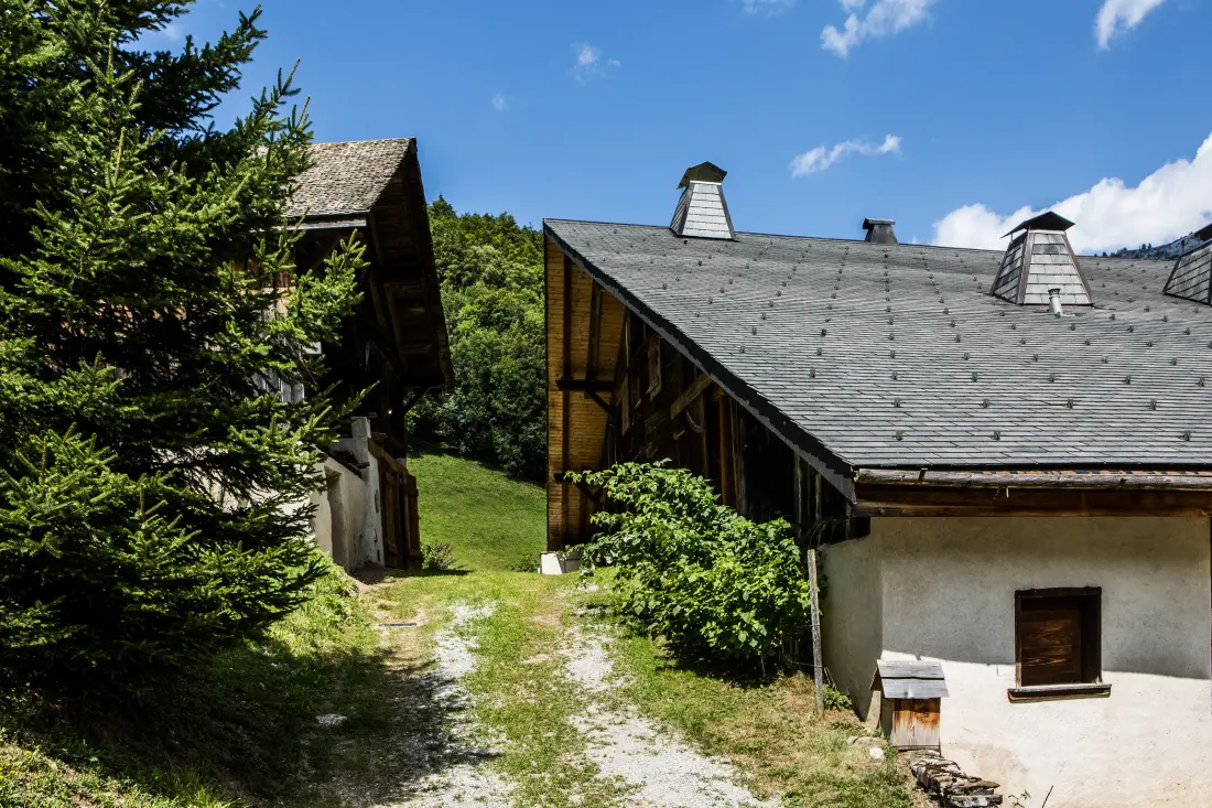 Chalets à Abondance