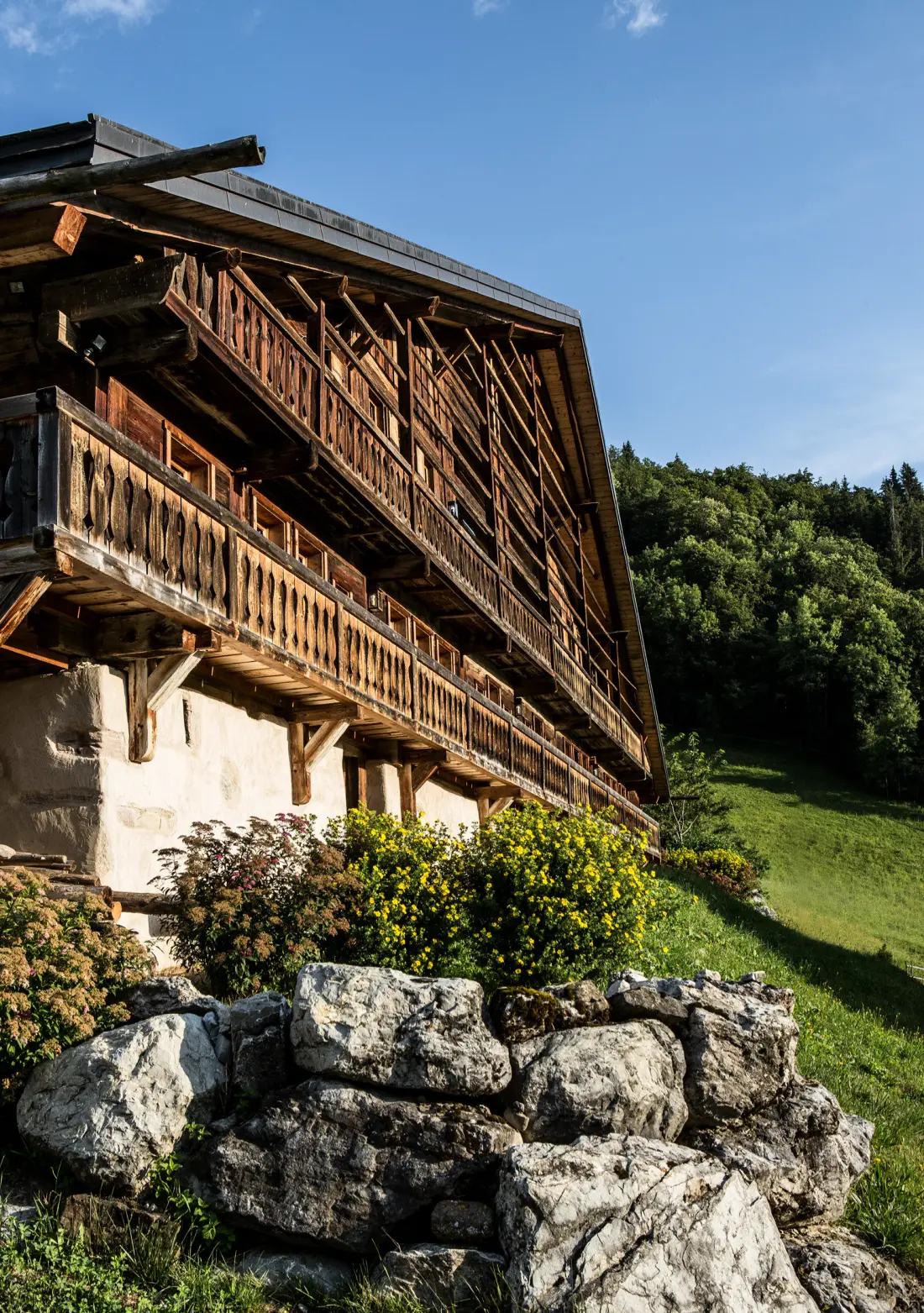 Chalets à Abondance