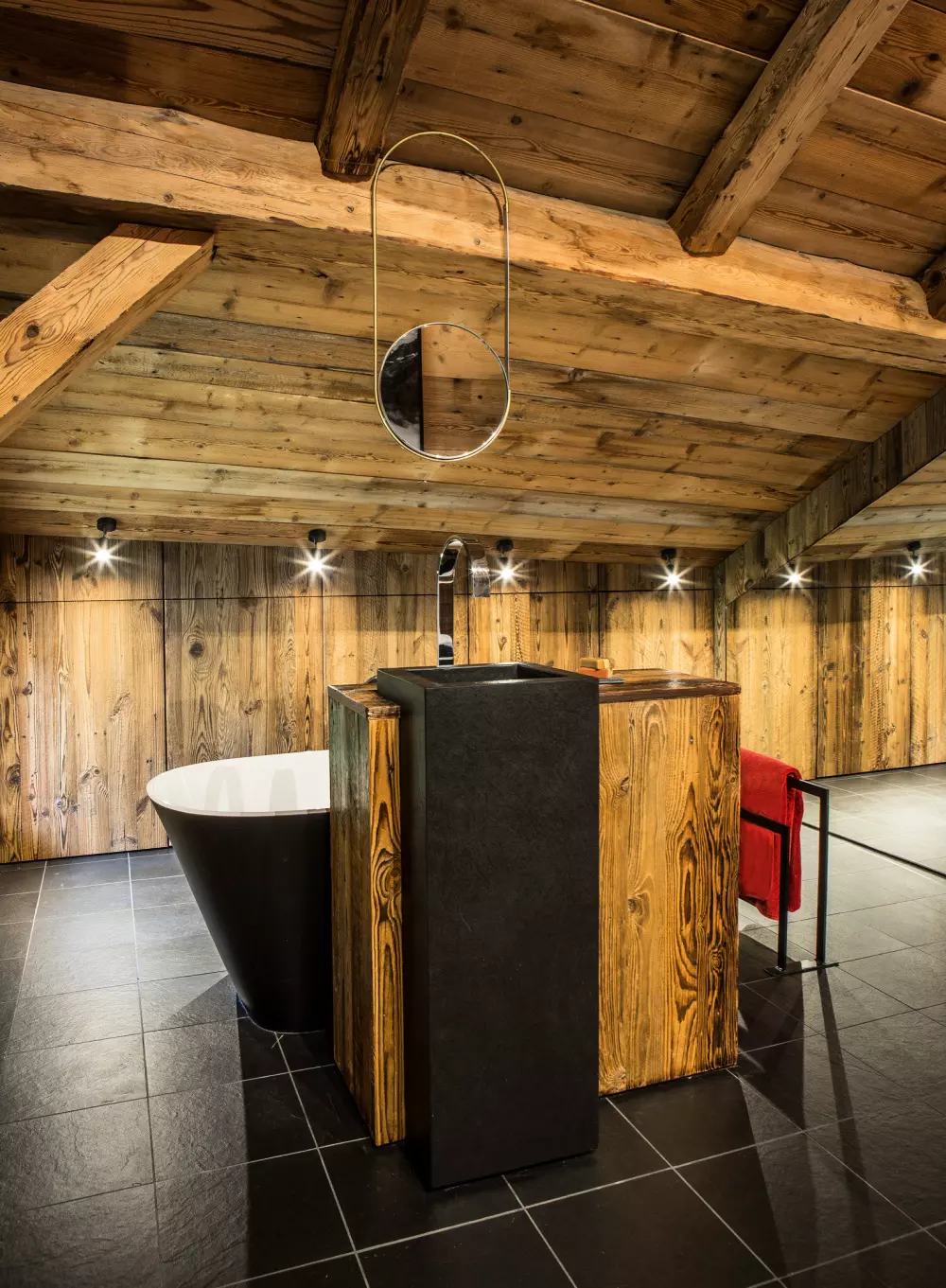 Chalets in Abondance