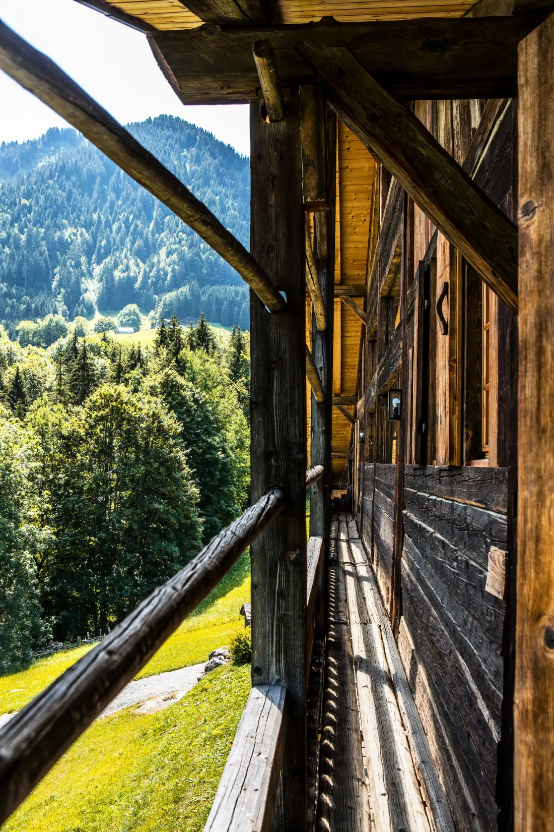 Chalets à Abondance