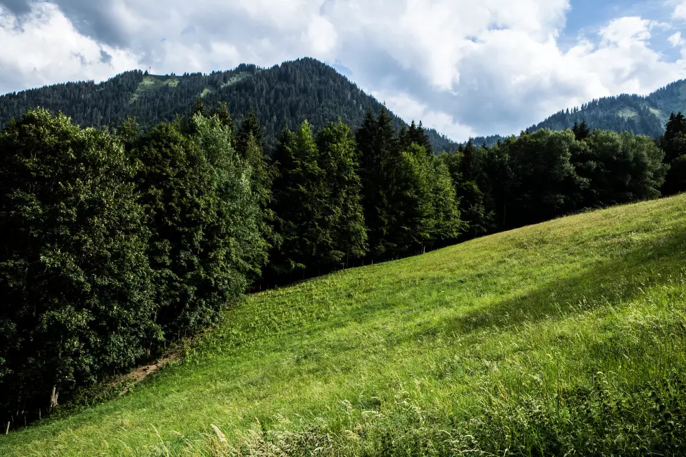 Chalets in Abondance