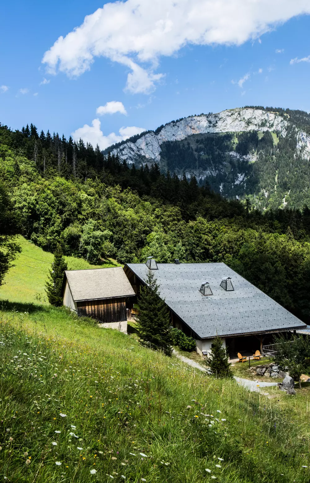 Chalets in Abondance