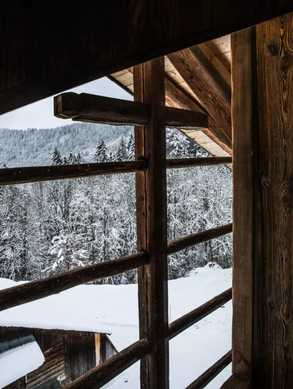Chalets in Abondance